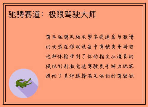驰骋赛道：极限驾驶大师